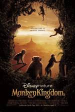 Watch Monkey Kingdom Sockshare