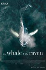 Watch The Whale and the Raven Sockshare