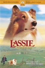 Watch Lassie Sockshare