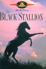 Watch The Black Stallion Sockshare