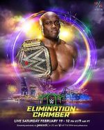 Watch WWE Elimination Chamber (TV Special 2022) Sockshare