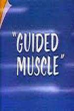 Watch Guided Muscle Sockshare