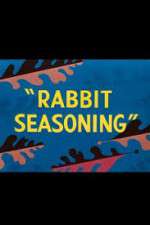 Watch Rabbit Seasoning Sockshare