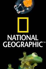 Watch National Geographic Wild Dam Beavers Sockshare