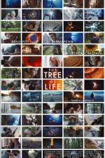 Watch The Tree of Life Sockshare