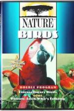 Watch PBS Nature - Extraordinary Birds Sockshare