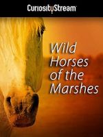 Watch Wild Horses of the Marshes Sockshare