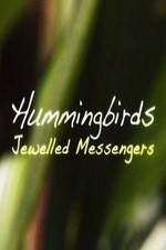 Watch Hummingbirds Jewelled Messengers Sockshare