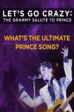 Watch Let\'s Go Crazy: The Grammy Salute to Prince Sockshare