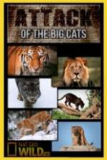 Watch National Geographic Attack Of The Big Cats Sockshare