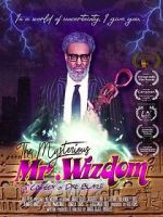 Watch The Mysterious Mr. Wizdom Sockshare