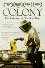 Watch Colony Sockshare