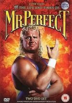 Watch The Life and Times of Mr. Perfect Sockshare