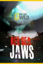 Watch National Geographic Red Sea Jaws Sockshare