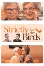 Watch Strictly for the Birds Sockshare