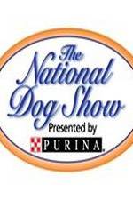 Watch National Dog Show Sockshare