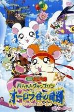 Watch Hamtaro Movie 3: Ham Ham Grand Prix Sockshare