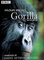 Watch Gorilla Revisited with David Attenborough Sockshare