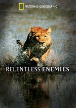 Watch Relentless Enemies Sockshare