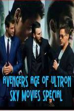 Watch Avengers Age of Ultron Sky Movies Special Sockshare