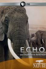 Watch Echo: An Elephant to Remember Sockshare