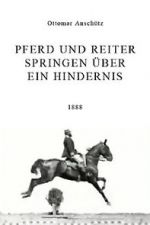 Watch Pferd und Reiter Springen ber ein Hindernis Sockshare