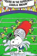 Watch You're in the Super Bowl Charlie Brown Sockshare