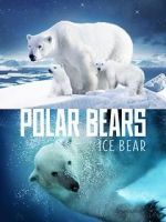 Watch Polar Bears: Ice Bear Sockshare