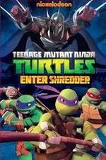 Watch Teenage Mutant Ninja Turtles: Enter Shredder Sockshare