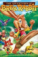 Watch The Adventures of Brer Rabbit Sockshare