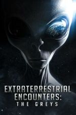 Watch Extraterrestrial Encounters: The Greys Sockshare