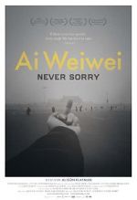 Watch Ai Weiwei: Never Sorry Sockshare