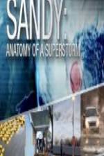 Watch Sandy Anatomy Of A Superstorm Sockshare