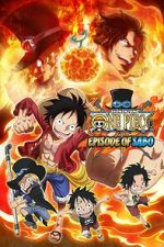 Watch One Piece: Episode of Sabo - Bond of Three Brothers, a Miraculous Reunion and an Inherited Will Sockshare