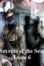 Watch Discovery Channel Secrets of Seal Team 6 Sockshare