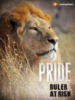 Watch Pride - Ruler\'s at Risk Sockshare