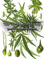 Watch The Hemp Conspiracy: The Most Powerful Plant in the World (Short 2017) Sockshare