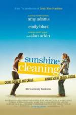 Watch Sunshine Cleaning Sockshare