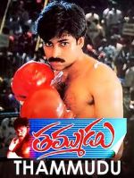 Watch Thammudu Sockshare