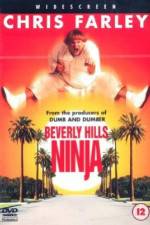 Watch Beverly Hills Ninja Sockshare