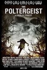 Watch The Poltergeist of Borley Forest Sockshare