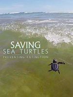 Watch Saving Sea Turtles: Preventing Extinction Sockshare