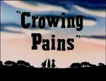 Watch Crowing Pains (Short 1947) Sockshare