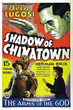 Watch Shadow of Chinatown Sockshare