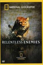 Watch Relentless Enemies Sockshare