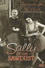 Watch Sally of the Sawdust Sockshare