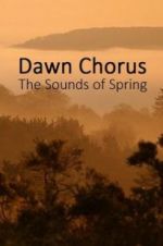 Watch Dawn Chorus: The Sounds of Spring Sockshare