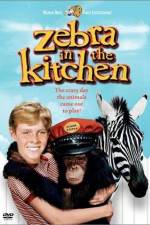 Watch Zebra in the Kitchen Sockshare