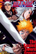 Watch Bleach: The Sealed Sword Frenzy Sockshare