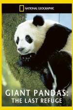 Watch National Geographic Giant Pandas The Last Refuge Sockshare